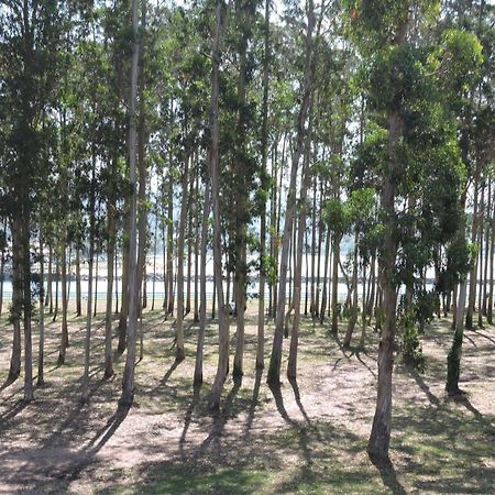 Apartamento Pie De Playa, El Puntal-Villaviciosa ビリャビシオサ エクステリア 写真